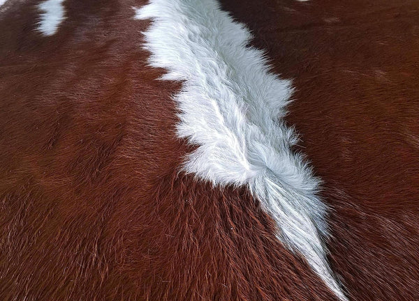 6' x 7' Feet Brown White Cowhide Handmade Soft Large Cow Hide Cow Skin Leather Animal Area Rug