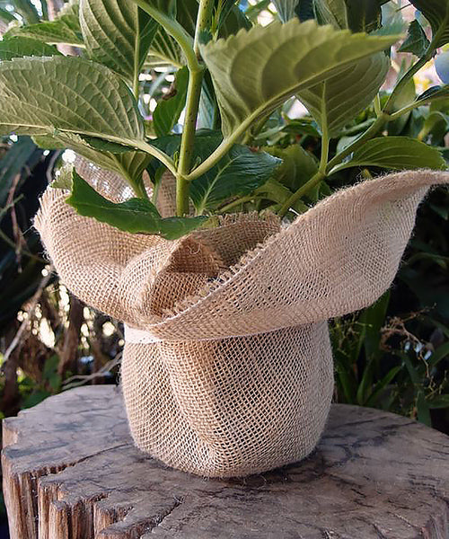60" Wide Burlap Natural Jute Fiber Multipurpose Fabric