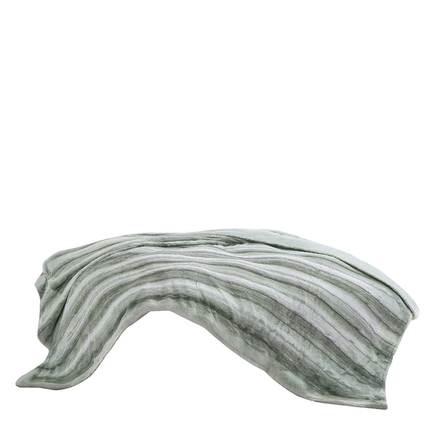 Light Green Extra Soft Cozy Microfiber Solid Bed Blanket