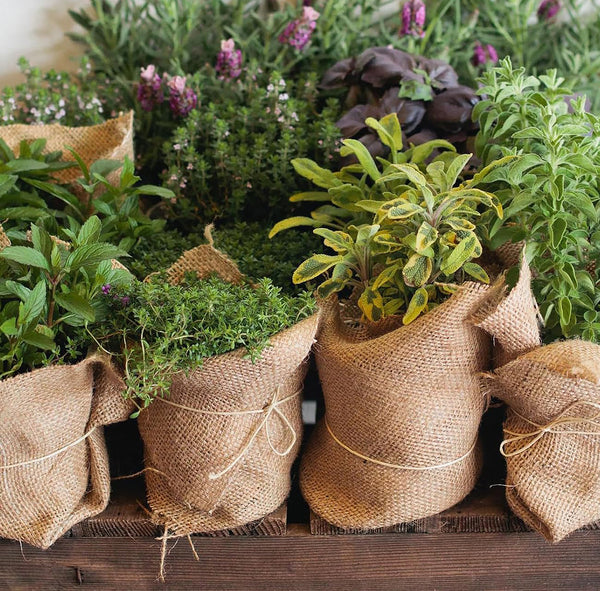 60" Wide Burlap Natural Jute Fiber Multipurpose Fabric