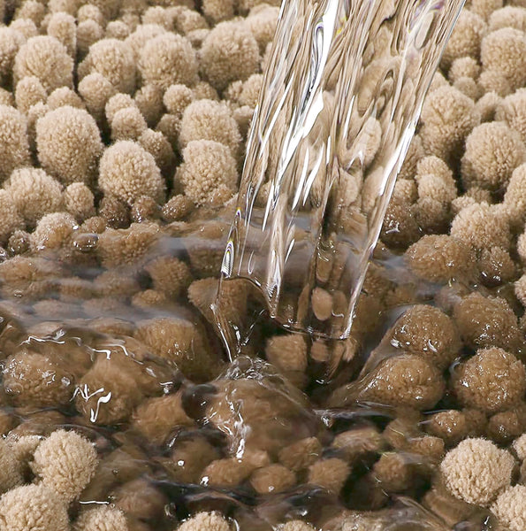 Large 2 Piece Set Beige Soft Cozy Plush Chenille Bath Mat Bathroom Rug