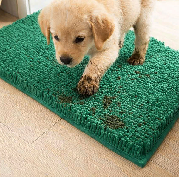 30"x20" - Hunter Green Dog Door Mat Non-Slip Super Absorbent Quick Dry Chenille Microfiber Washable Pet Rug for Muddy Paws