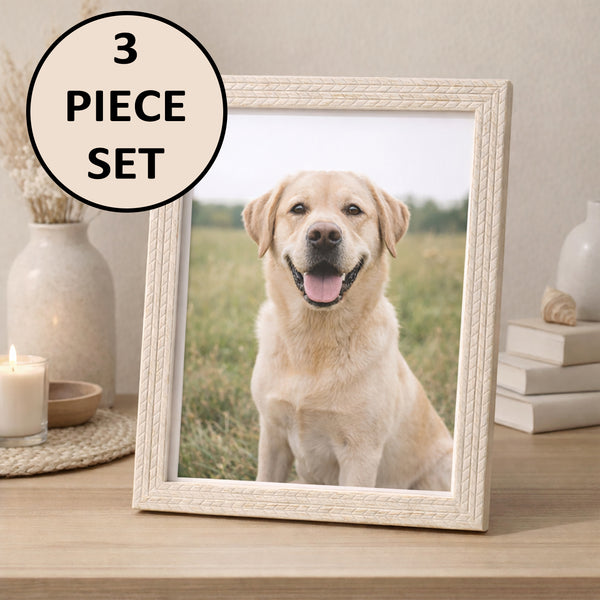5x7  Ivory White Wheat Braid Rustic Carved Picture Frame - Set of 3