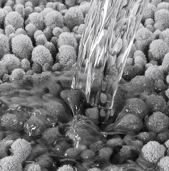 Large 2 Piece Set Light Grey Soft Cozy Plush Chenille Bath Mat Bathroom Rug