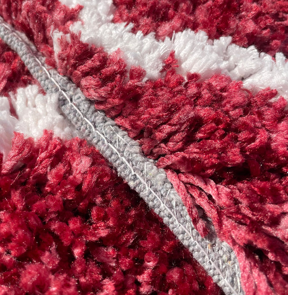 Red 2 Piece Trellis Plush Thick Soft Cozy Microfiber Bath Mat Set